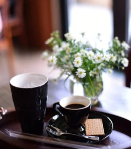 ENTJ 的生肖指南：解鎖你的天命伴侶與事業密碼