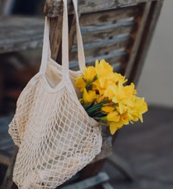 ISTP的星座特質與職業選擇關系大揭秘！