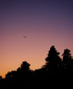 MBTI中【最務實可靠】的TOP3性格類型