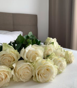 INTP的戀愛困境：智商160，情商-100？