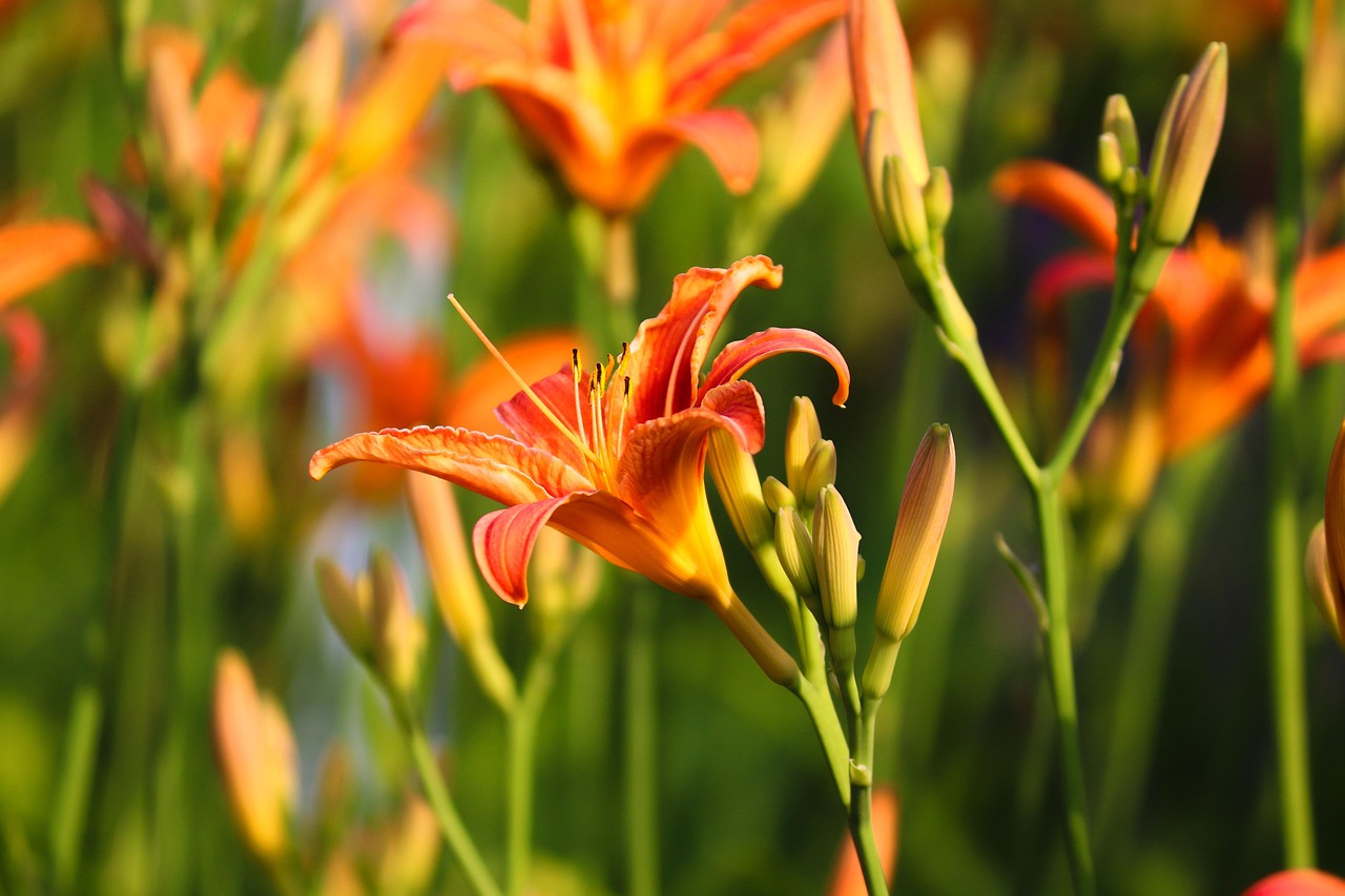 施比受更幸福：如何通過給予找到真正的快樂與滿足感！